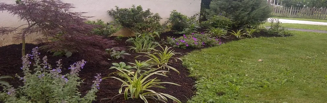 Clean front landscape.jpg